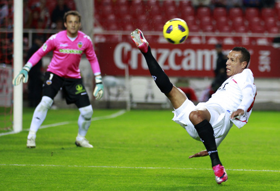 人对明星的 人对明星的